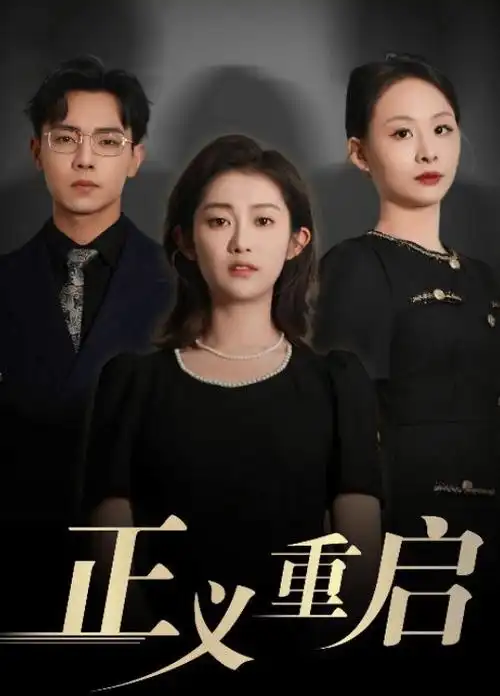 沉默的证词 电视剧海报
